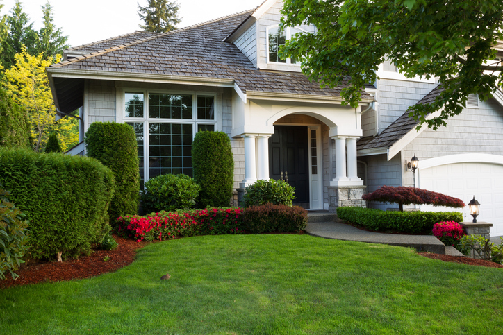 house with manicured lawn and shrubs and some bedding
