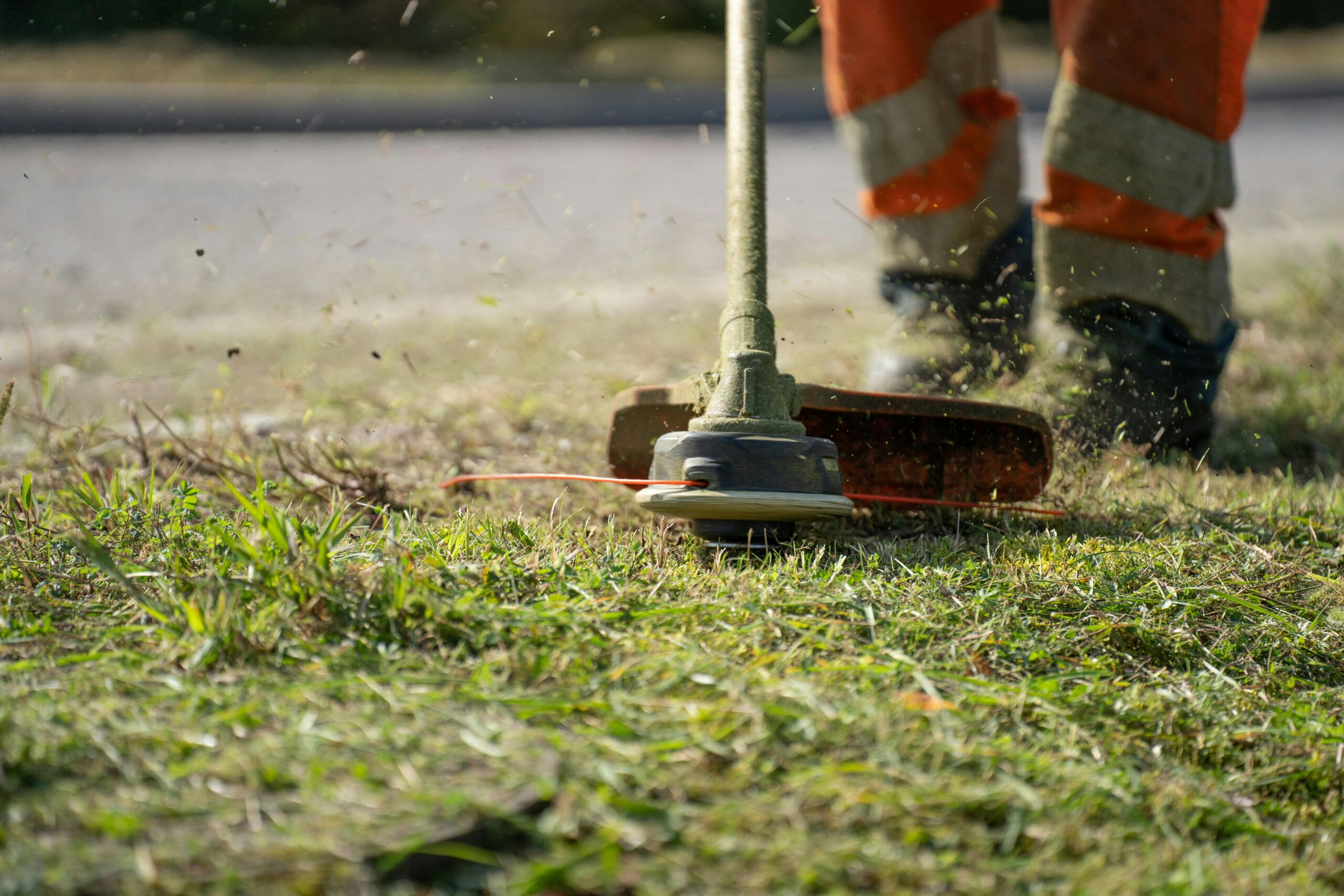 Picture of a string trimmer going through grass.
